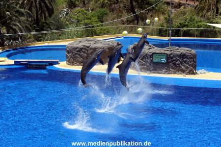 Palmitos Park GC2013 072