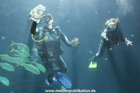 Hagenbeck 27122013 011