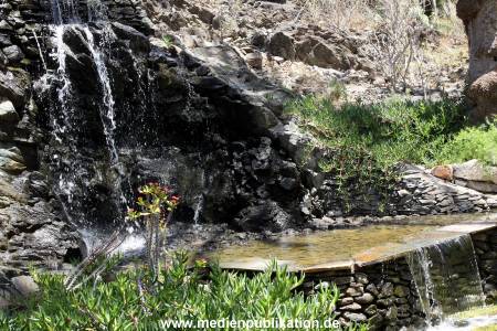 Palmitos Park GC2013 062